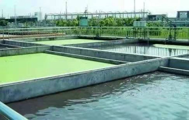 污水处理行业动态：如何精准把握市场趋势